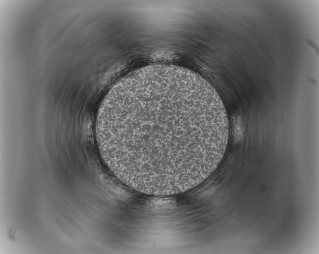 X0000102460619200809051311