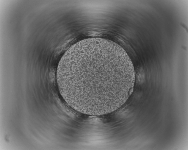 X0000102460620200809051311
