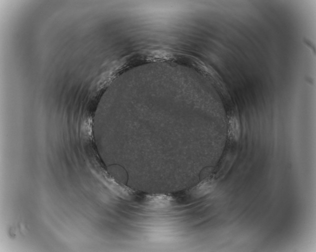 X0000102460621200809051311
