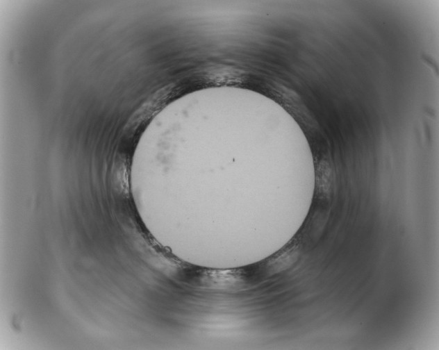 X0000102460622200809051311