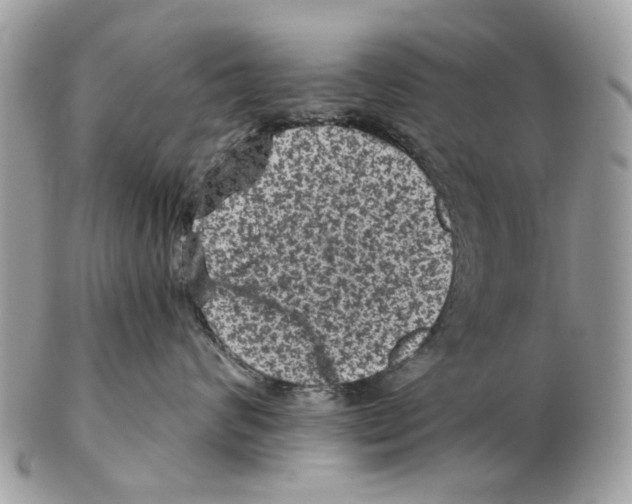 X0000102460624200809051311