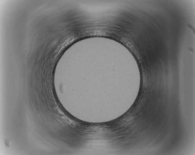 X0000102460625200809051310