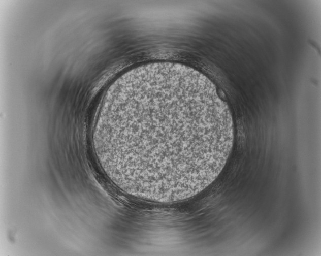 X0000102460626200809051310