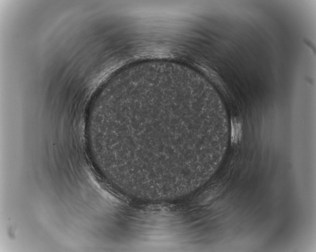 X0000102460627200809051310