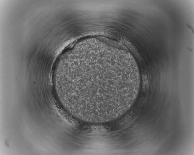 X0000102460628200809051310