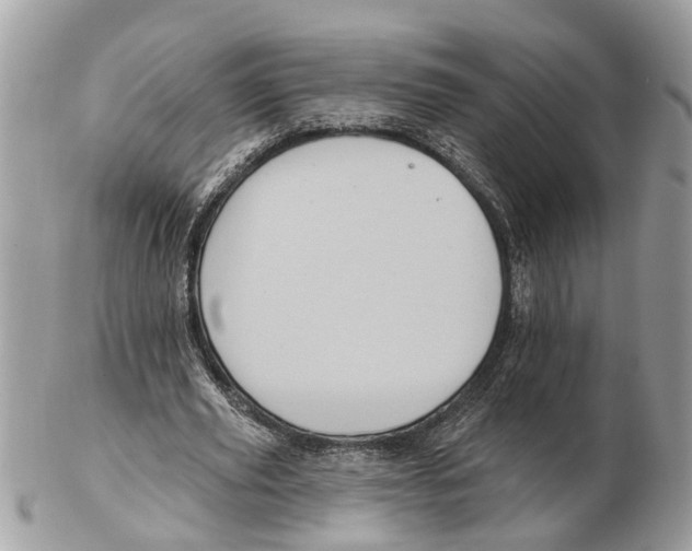 X0000102460629200809051310