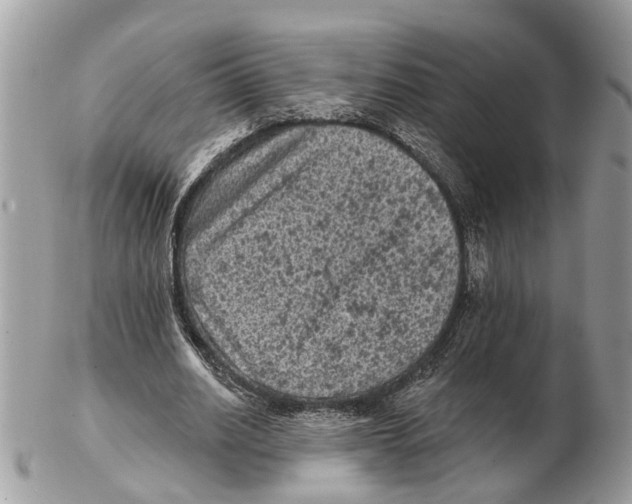 X0000102460630200809051310