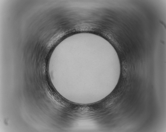 X0000102460631200809051310