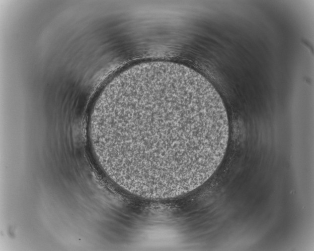X0000102460632200809051310