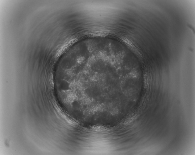 X0000102460634200809051310