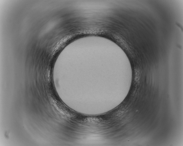 X0000102460636200809051310