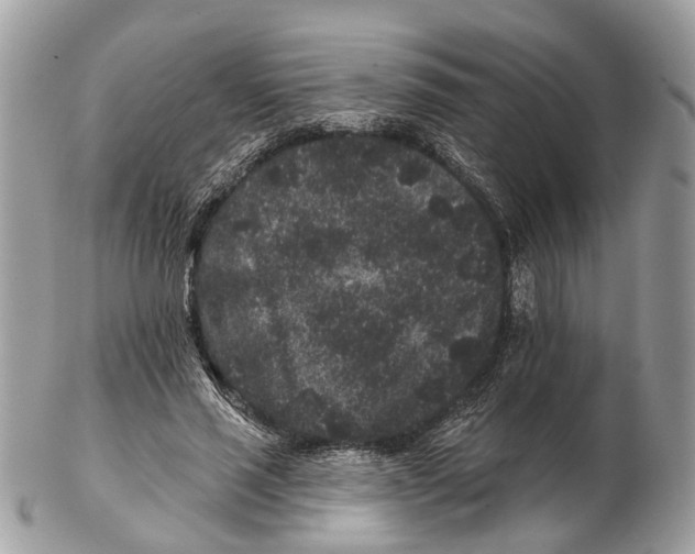 X0000102460637200809051310