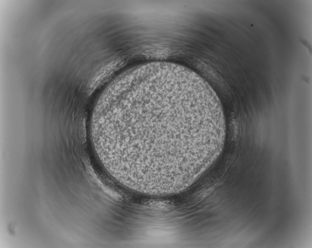 X0000102460638200809051310