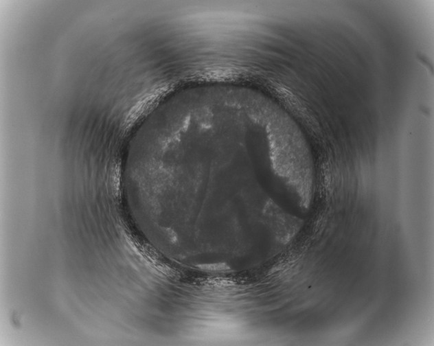 X0000102460640200809051310