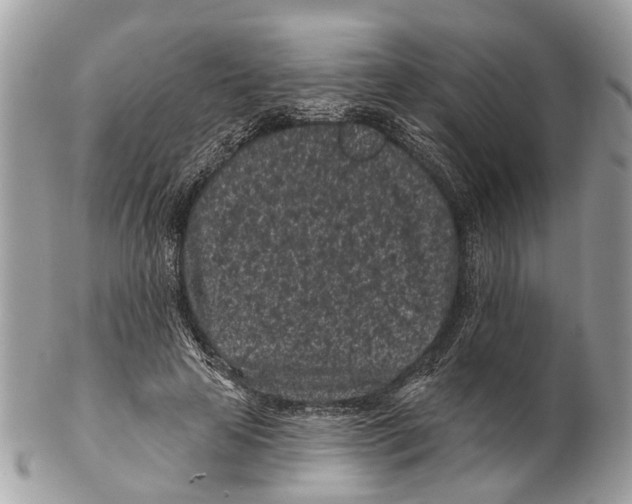 X0000102460641200809051310