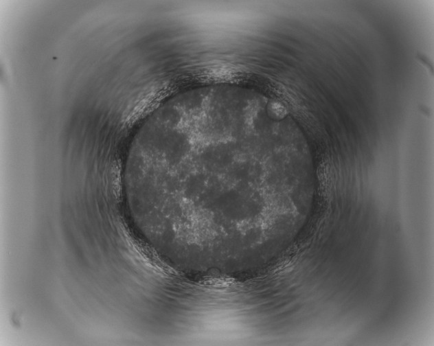 X0000102460642200809051310