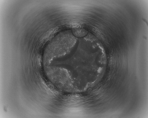 X0000102460643200809051310