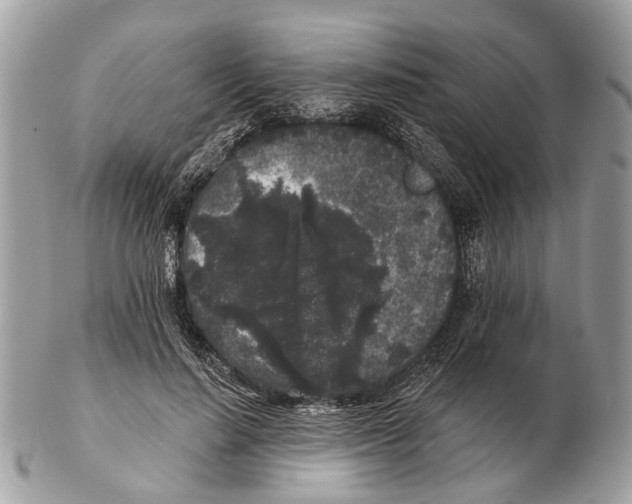 X0000102460644200809051310