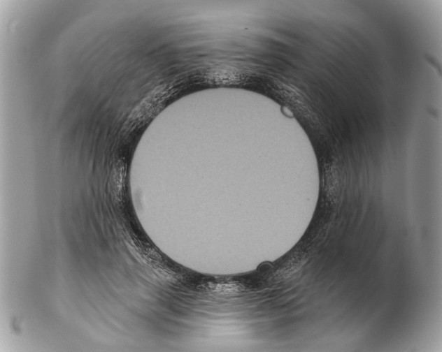 X0000102460645200809051310