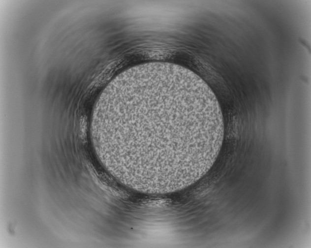 X0000102460646200809051310