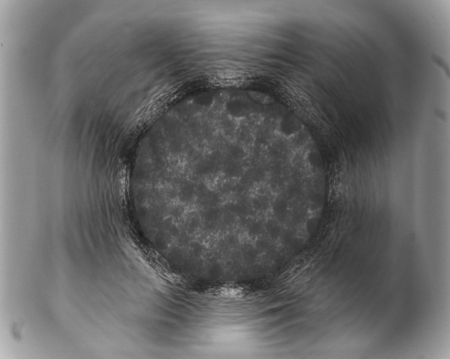 X0000102460647200809051310