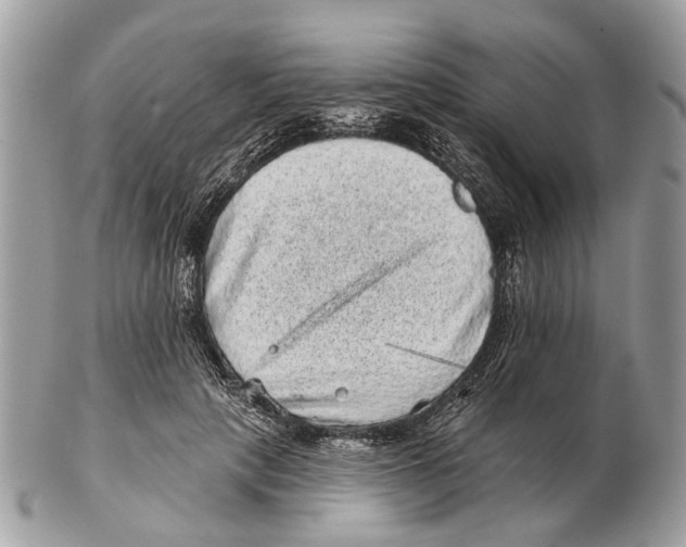X0000102460649200809051310