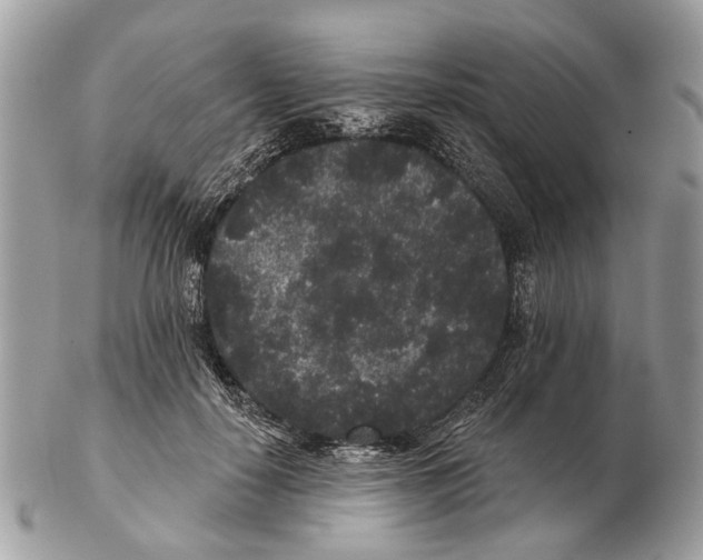 X0000102460650200809051310
