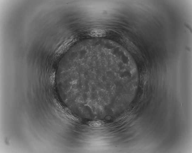 X0000102460652200809051311