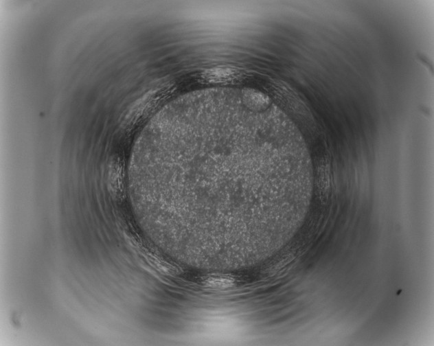 X0000102460653200809051311