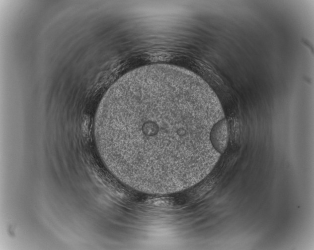 X0000102460655200809051311
