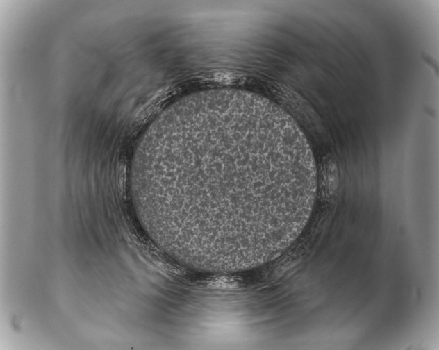 X0000102460656200809051311