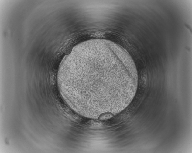 X0000102460658200809051311