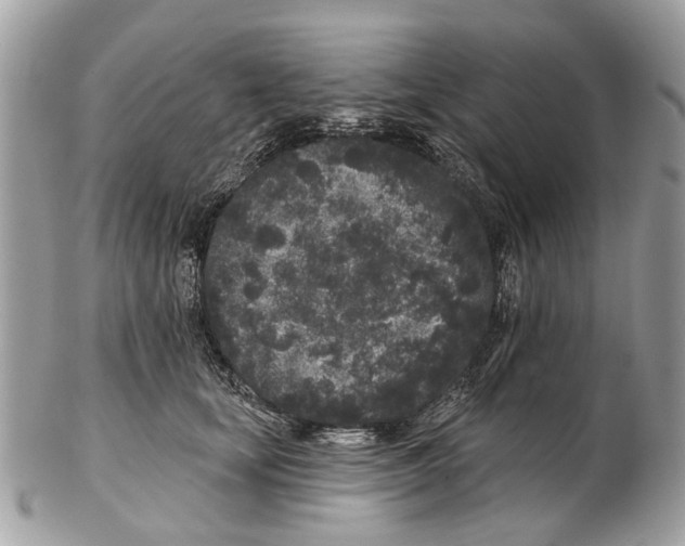 X0000102460659200809051311