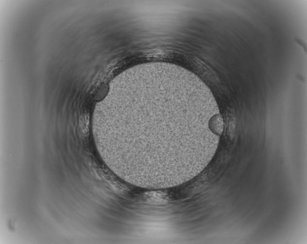 X0000102460660200809051311