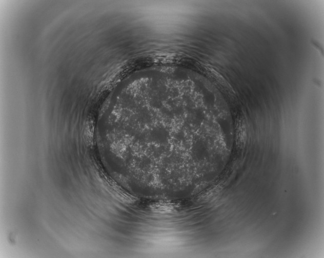 X0000102460661200809051311