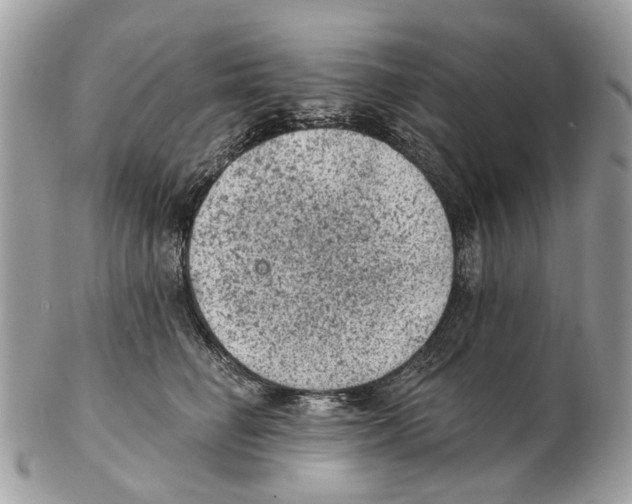 X0000102460662200809051311