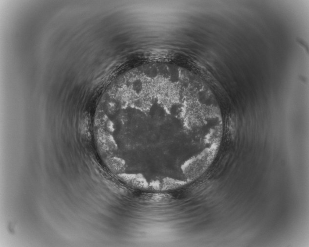 X0000102460663200809051311