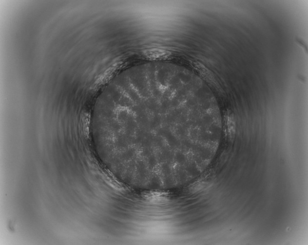 X0000102460664200809051311