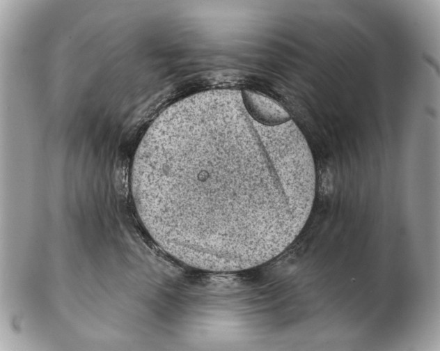 X0000102460666200809051311