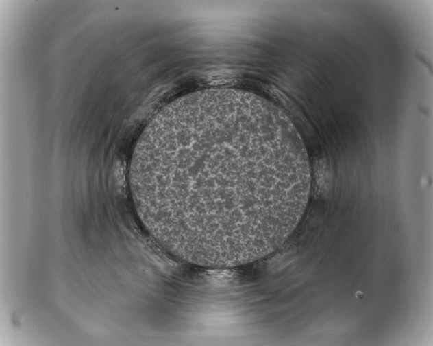 X0000102460667200809051311