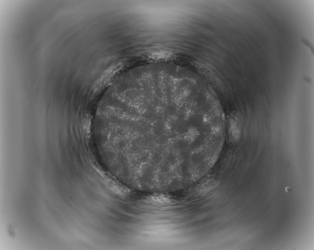 X0000102460668200809051311