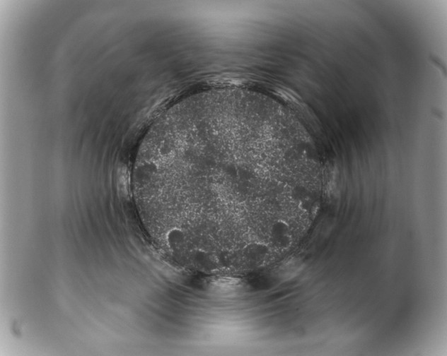 X0000102460669200809051311