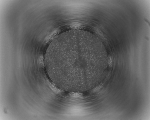 X0000102460670200809051311