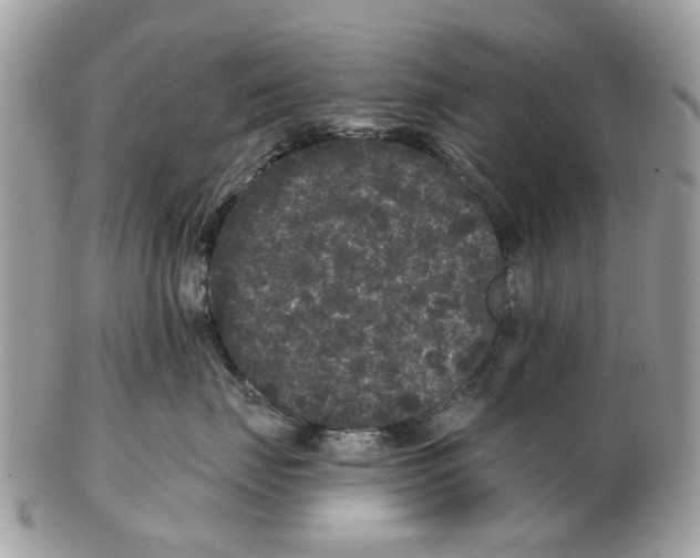 X0000102460671200809051311
