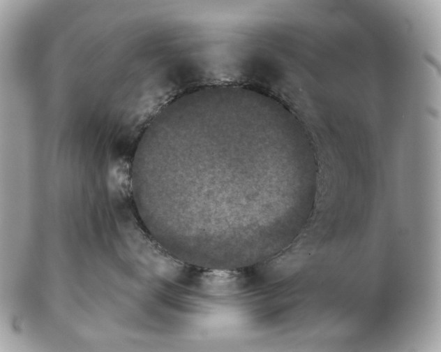 X0000102460672200809051311