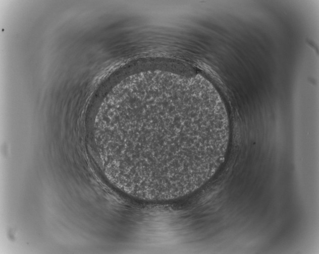 X0000102460673200809051310