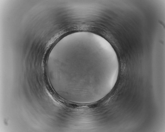 X0000102460674200809051310