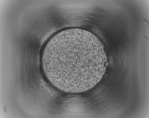 X0000102460676200809051310