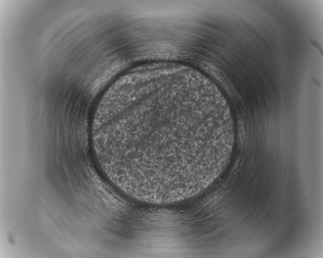 X0000102460677200809051310