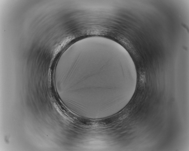 X0000102460678200809051310